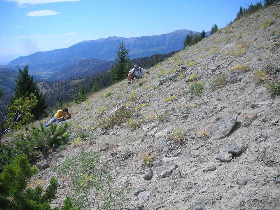 A wide shot of the side of a mountain with mountains in the background and a few people laying on the side doing fieldwork