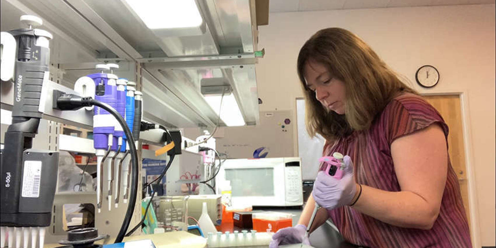 Tiffany Pipetting Into 96 Well Plate Copy