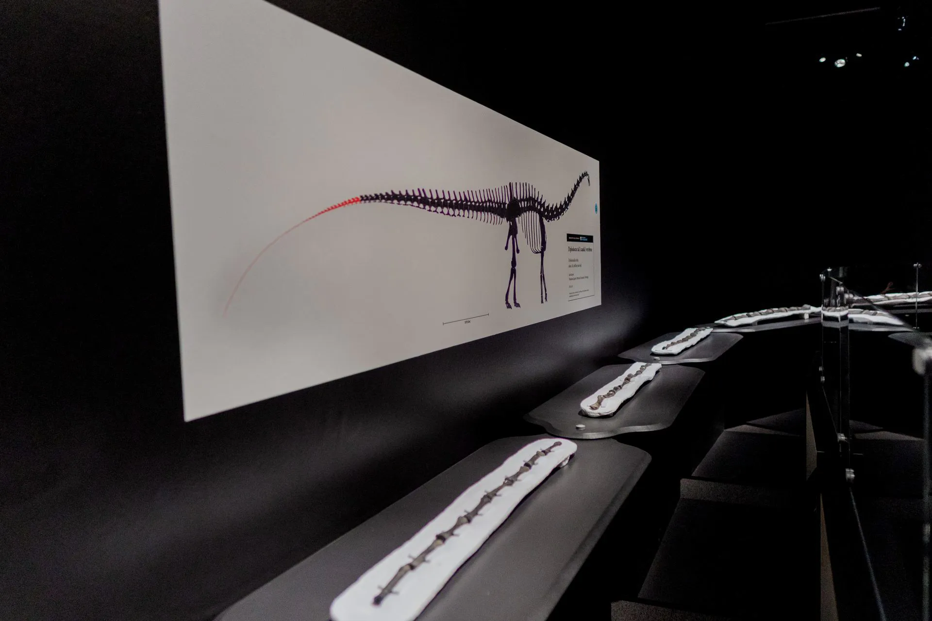 Exhibition Walkthrough