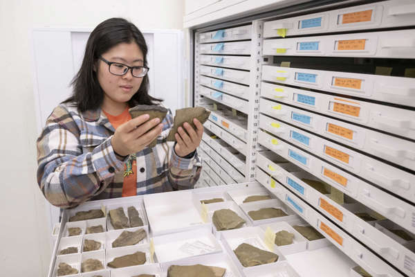 Person looking at fossils