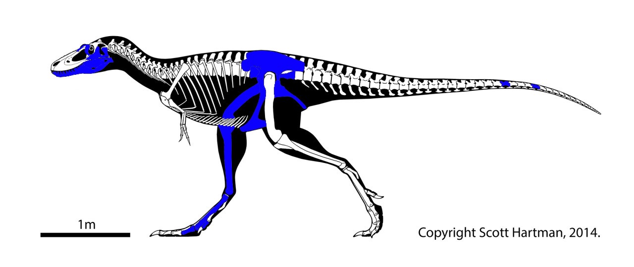 T Rex 01