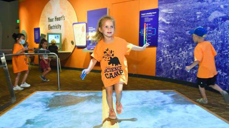 A young girl wearing an orange shirt explores an interactive floor, stepping on dynamic designs that respond to her movements.