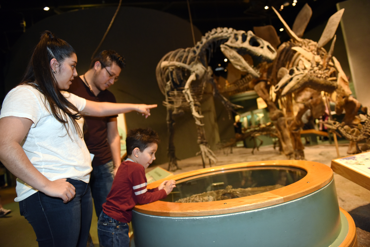 OFFICIAL Denver Museum of Nature & Science Free Days and Free Nights