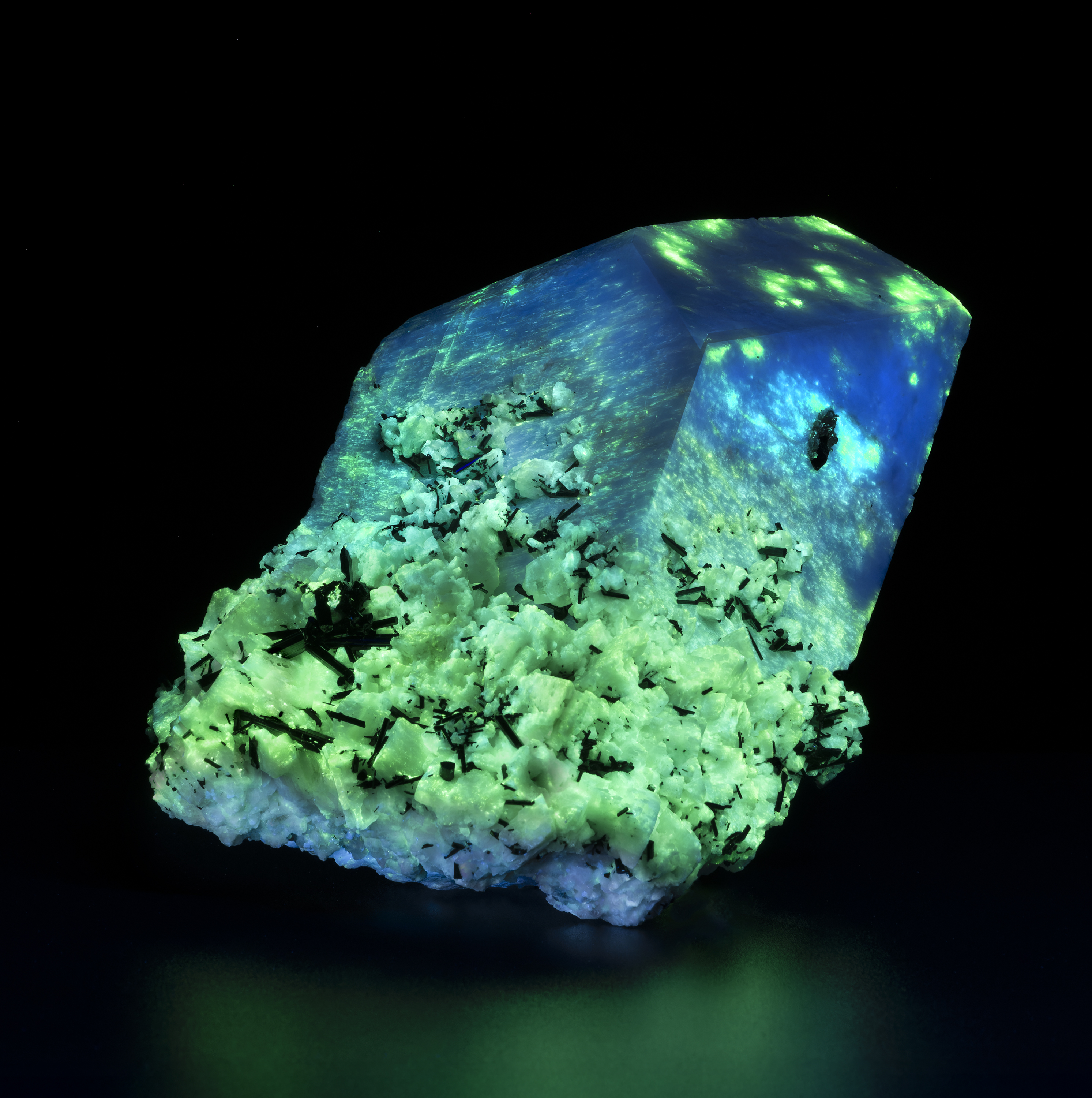 EGM.19548 002 (1) loading=