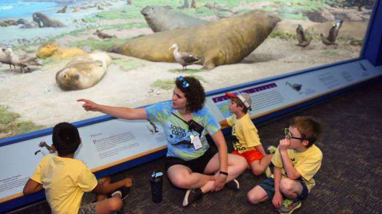 A woman and children are seated in front of a diorama displaying elephant seals, engaging with the captivating image.