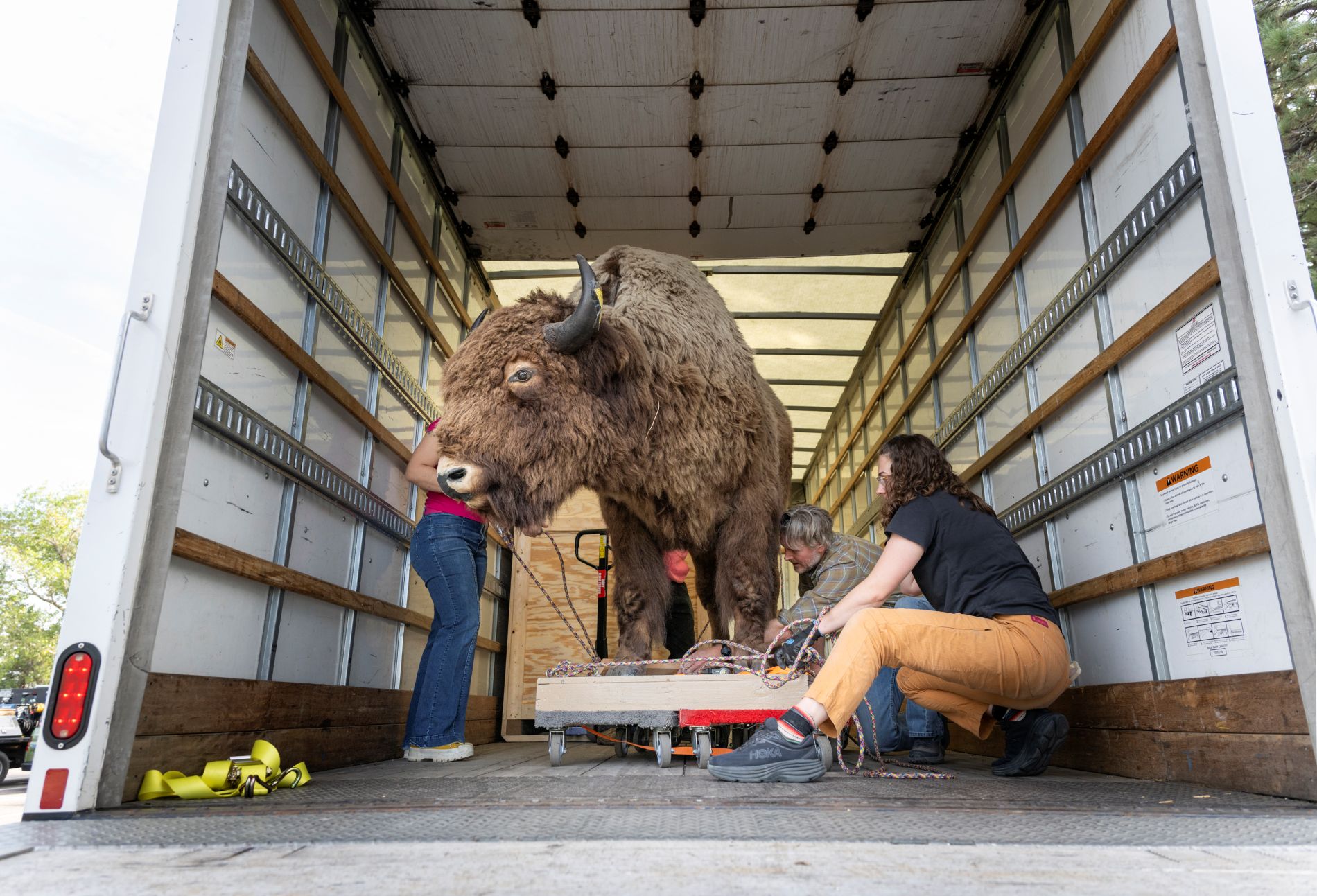 ZOO2024 3 010 Resize