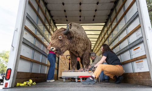 ZOO2024 3 010 Resize