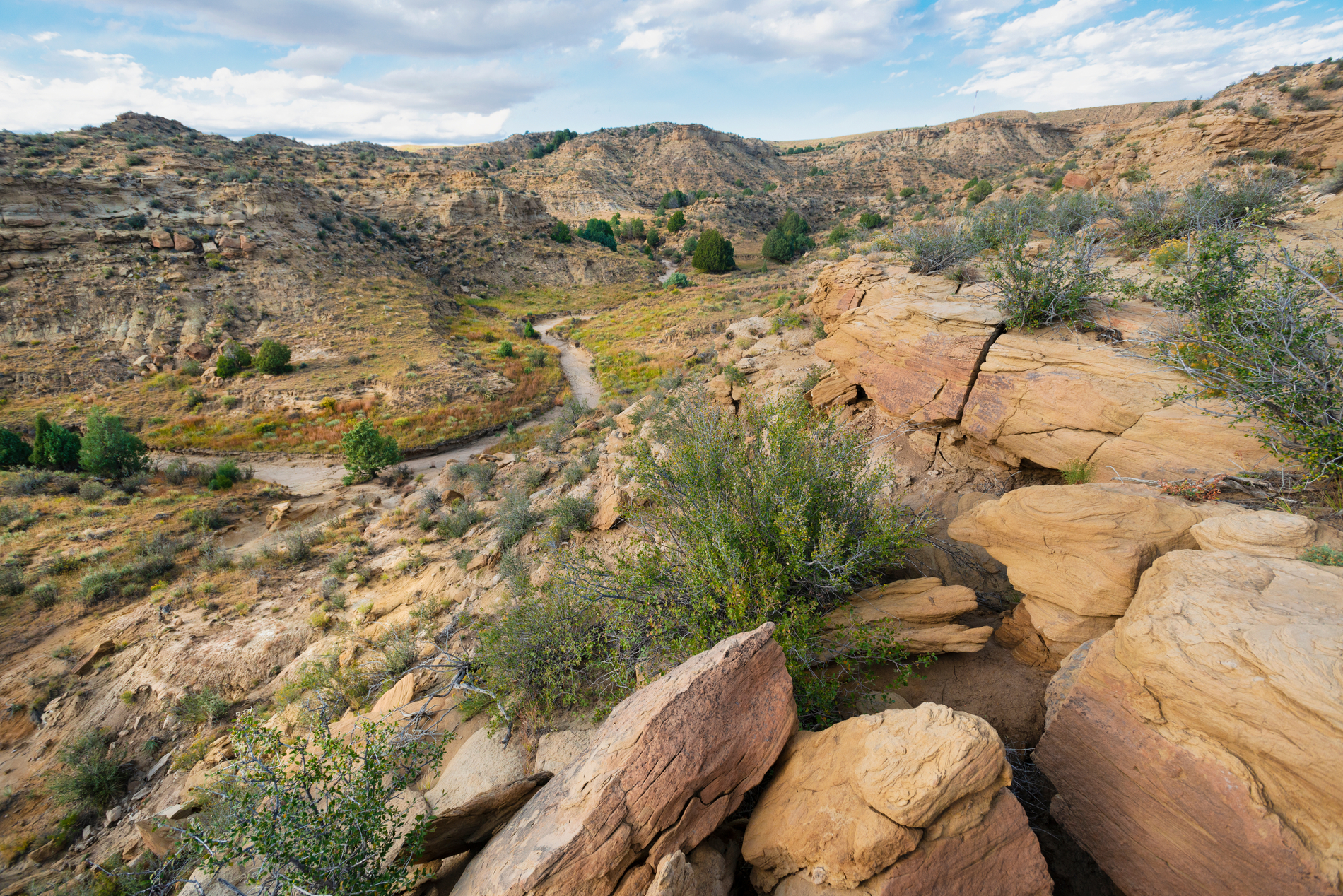 Eas2017 8 14 1900X1268 0E9c58f