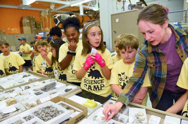 A class of children explore in the Museum's collections department
