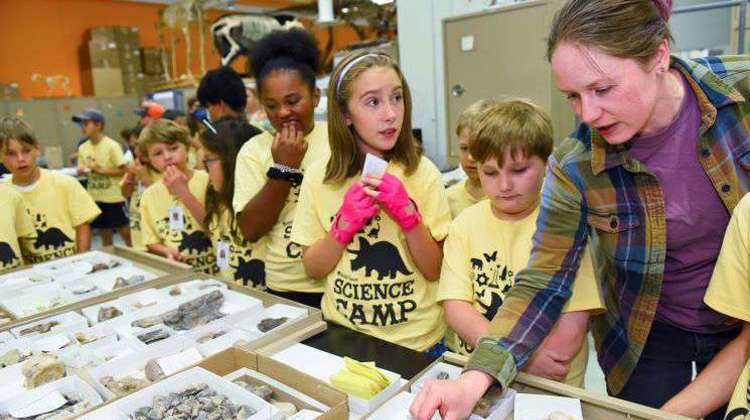 A class of children explore in the Museum's collections department