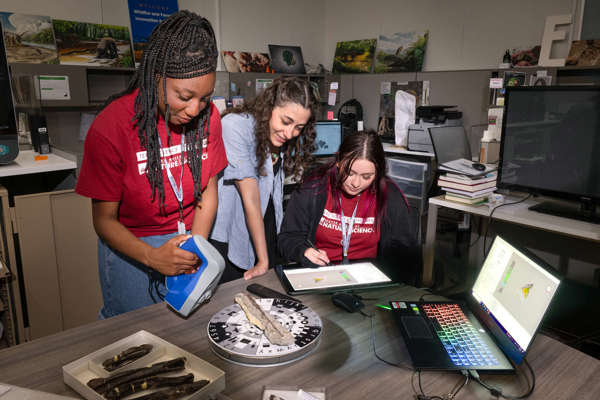 Madagascar’s Bizarre Fossil Animals: From the Lab to Collections 