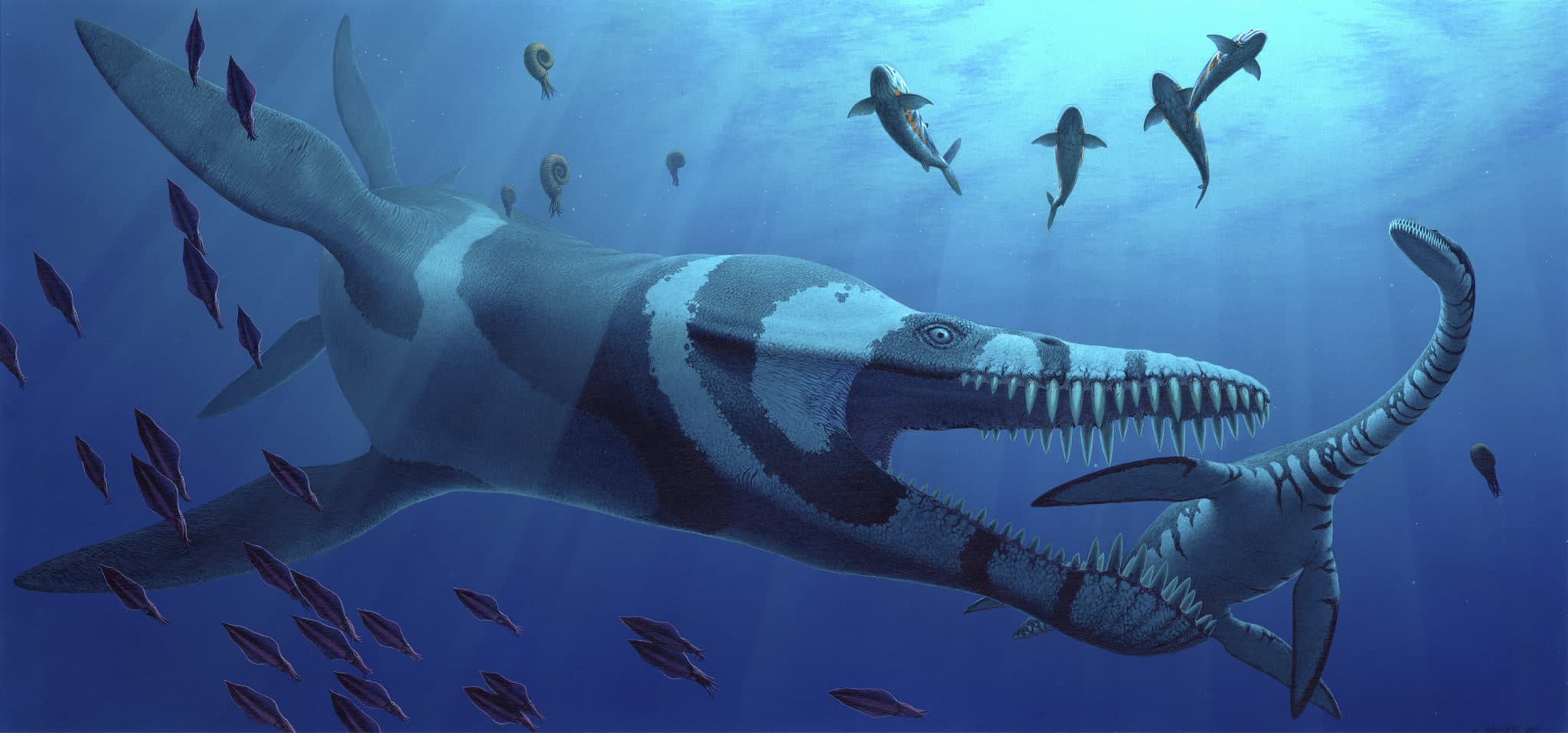 Jurassic Oceans Monsters Of The Deep