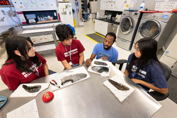 Teens Looking at Bird Feathers