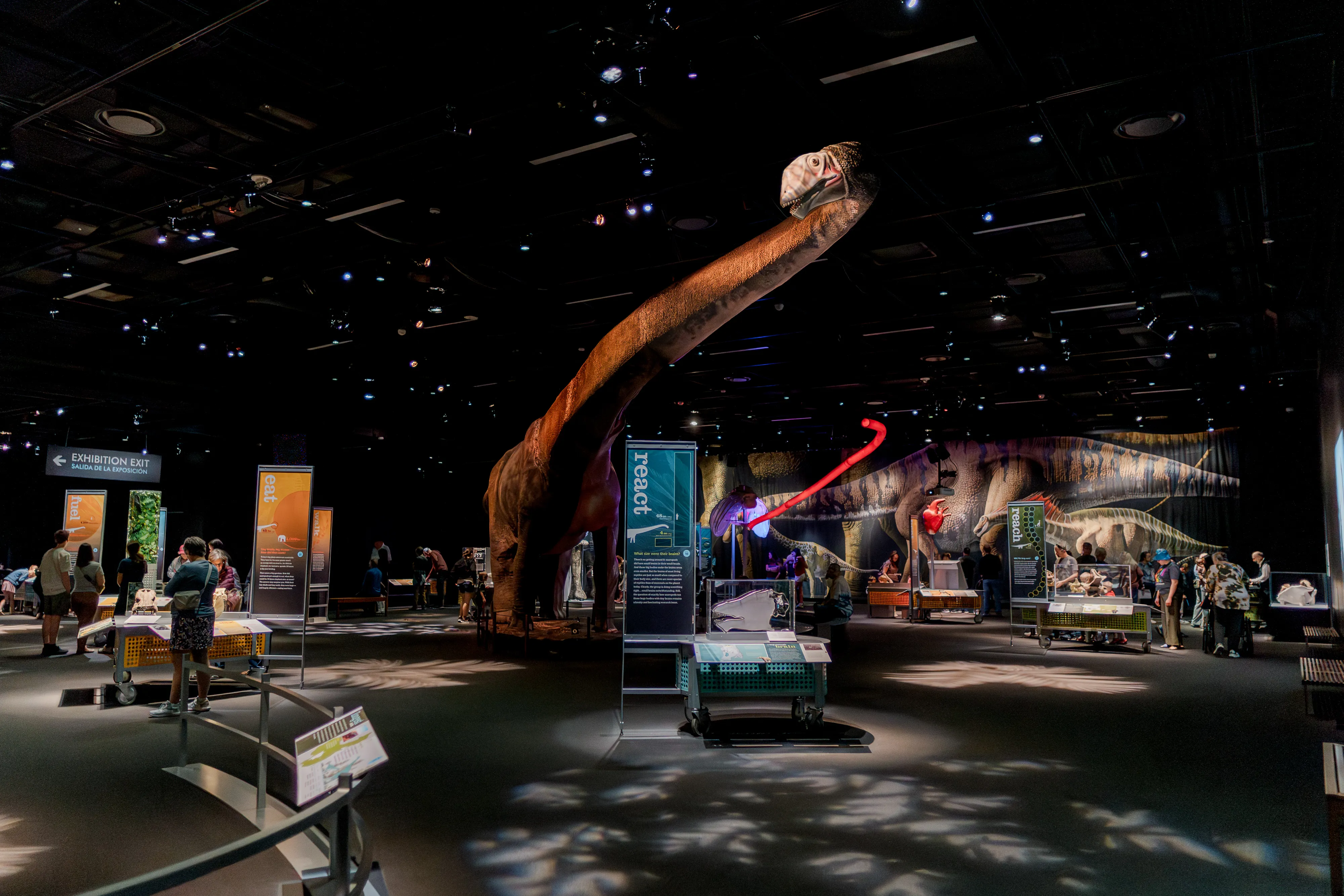 Exhibition Walkthrough