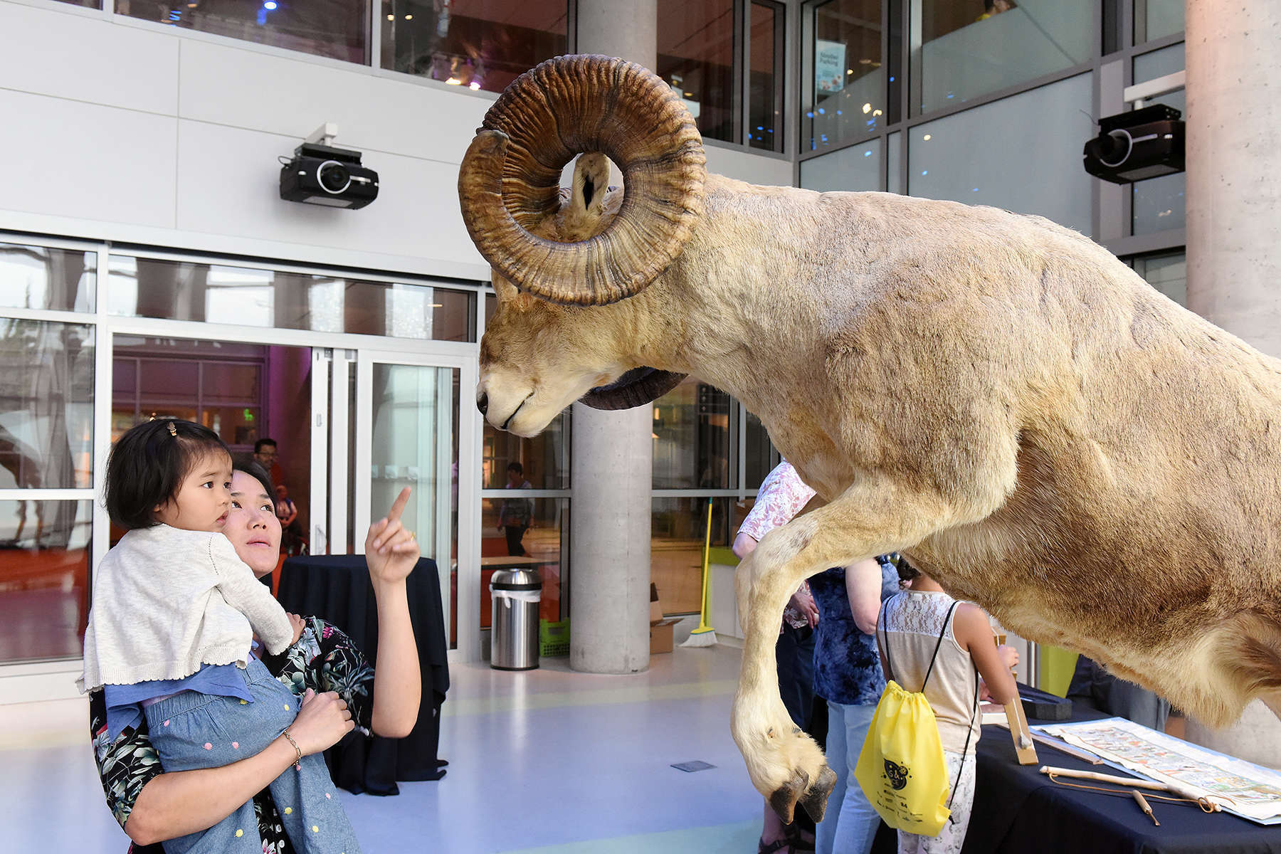 Mother And Daughter Looking At Big Horn Sheep 