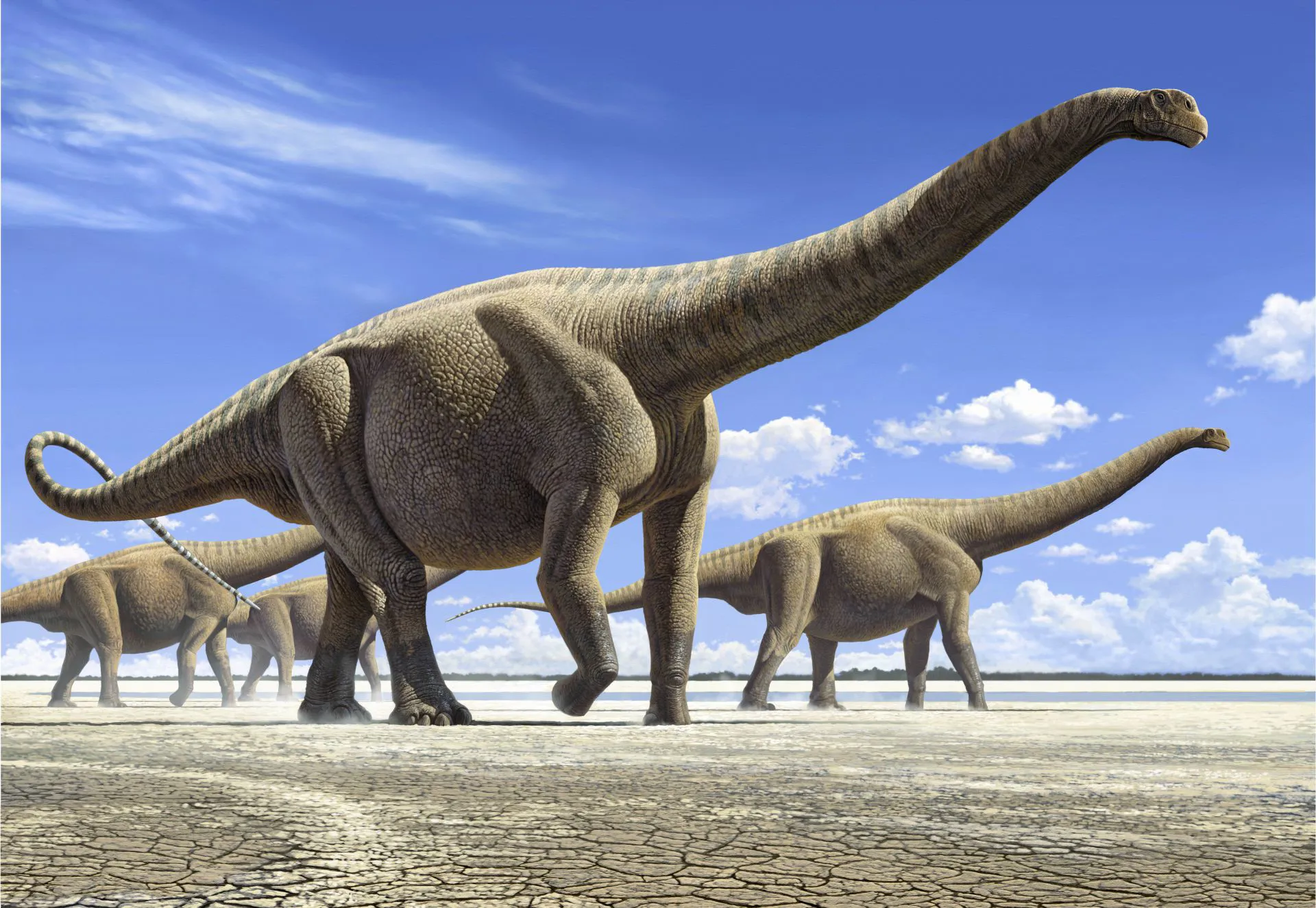 Artist rendering of dinosaurs