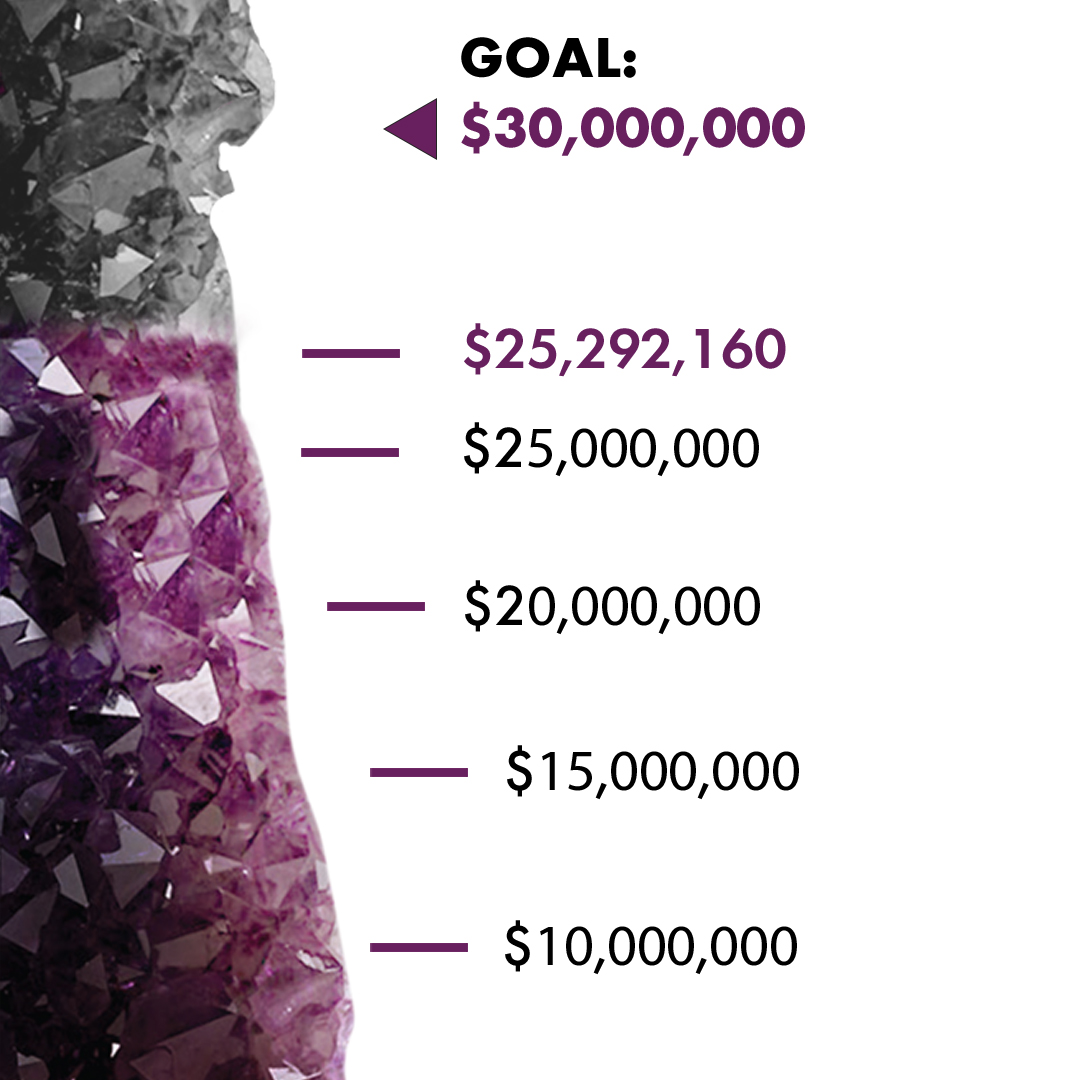 Tracker that shows how much money has been raised