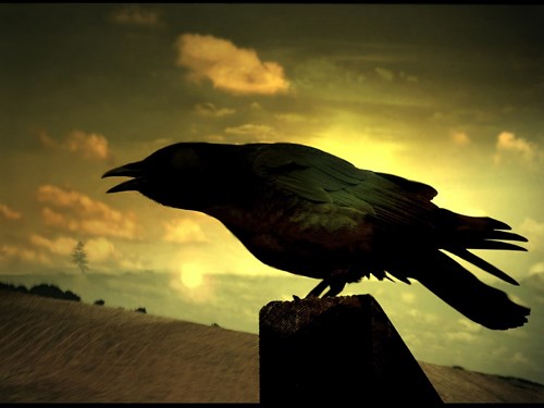 Raven G78126112d 1280