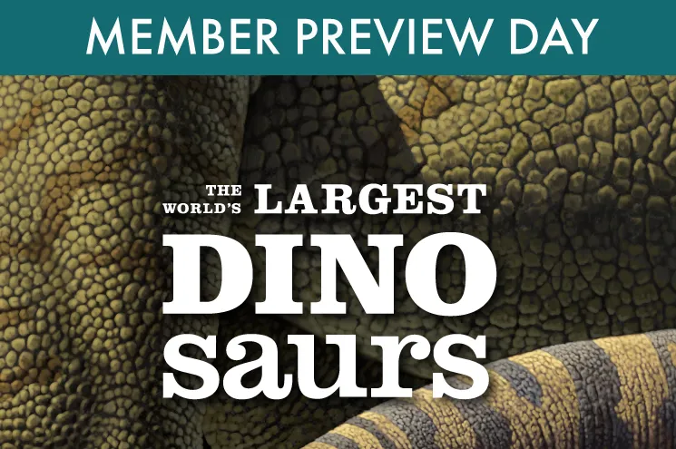 WLD Members Only Digital Assets V3 Webstore 754X495 MPD