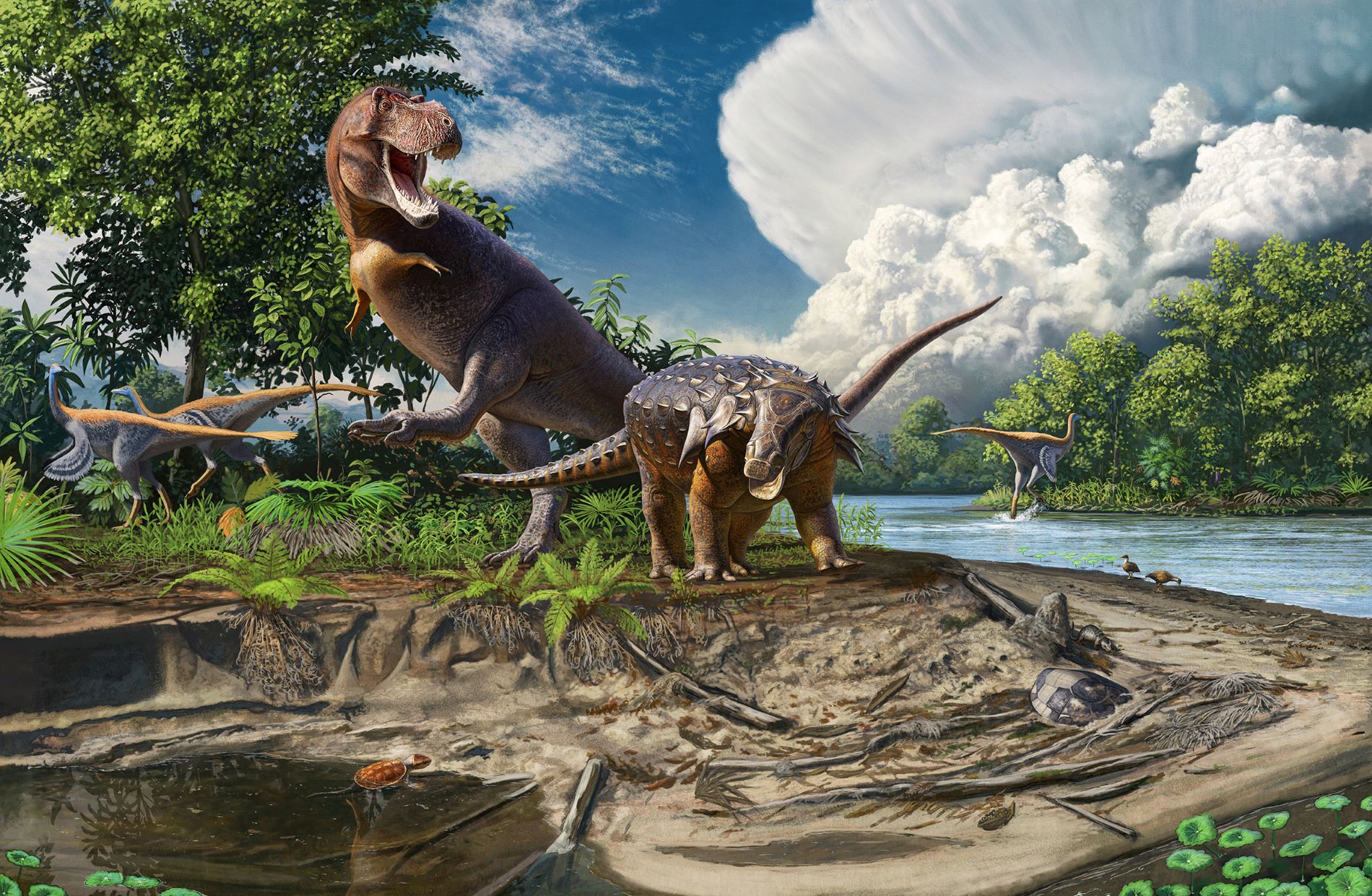 T. rex, Denversaurus schlessmani, and a flock of Struthiomimus altus square off as a storm builds on the front range of Colorado 67 million years ago. (Illustration/ Andrey Atuchin)