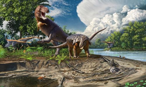 Dinosaur Extinction Discovery
