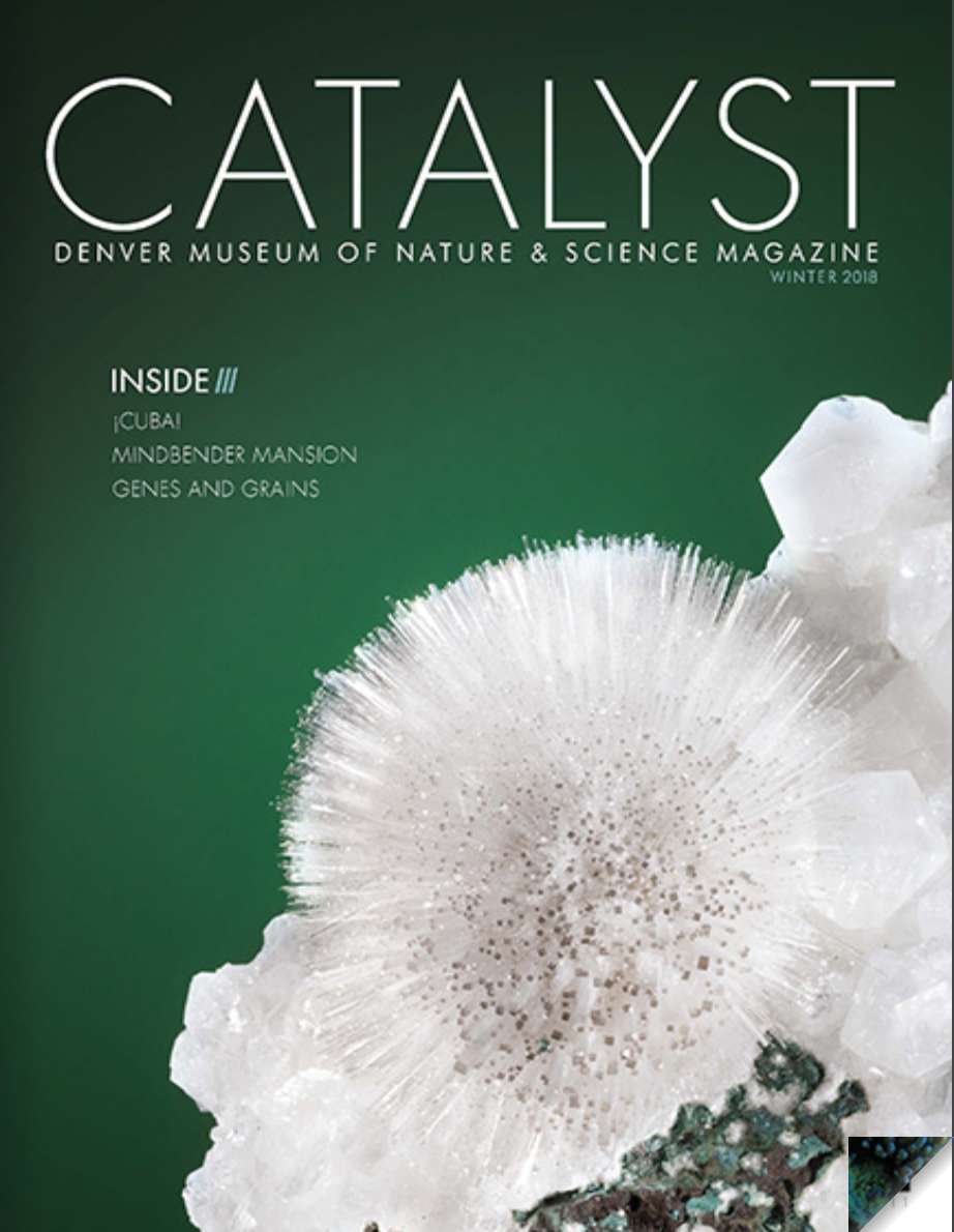 Example of Catalyst Magazine cover. Background is green with white gem in forefront
