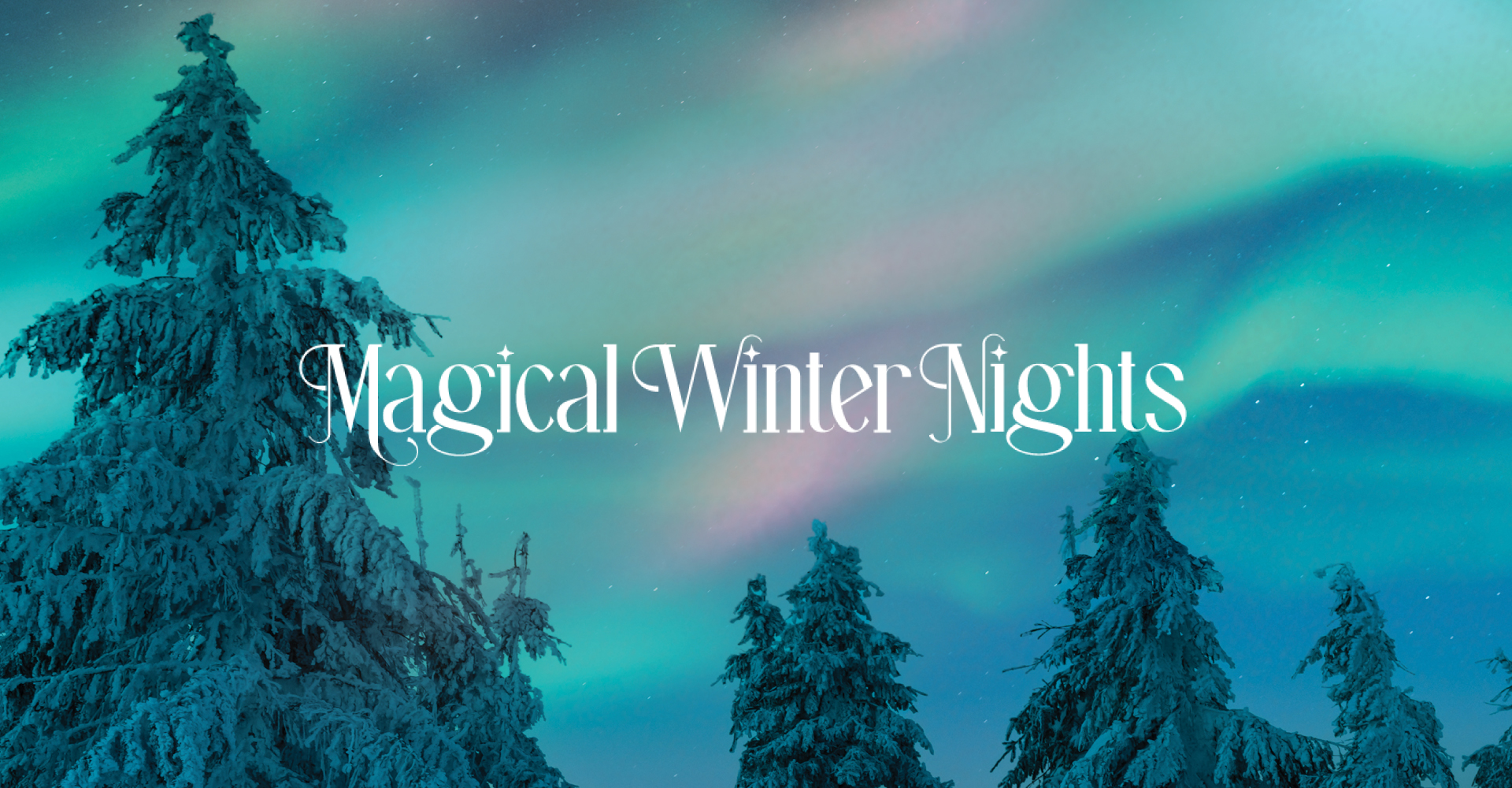 MWN Internal Digital Assets Website Banner (1)