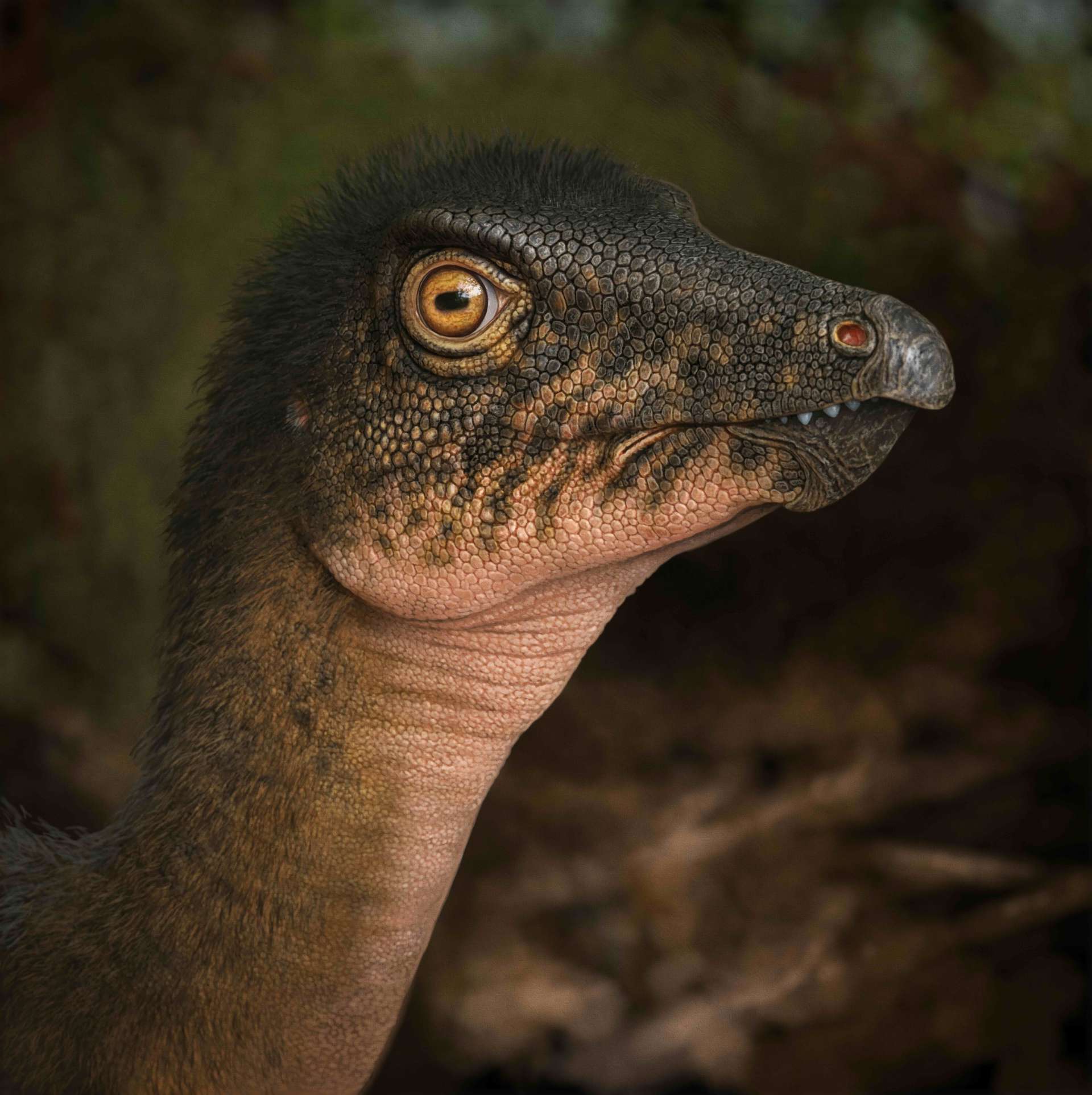 Thescelosaurus Small (1)