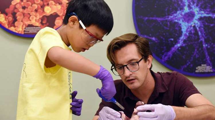 A man and a boy collaborate on a dissection, showcasing teamwork and innovation in a classroom setting.