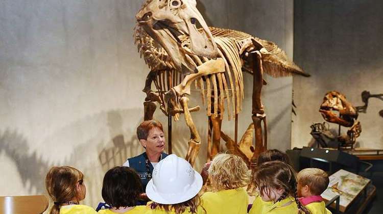 a group of children speak to a Museum volunteer in front of a large dinosaur skeleton