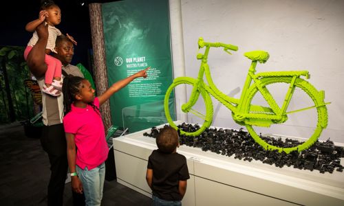 Guests looking at exhibit