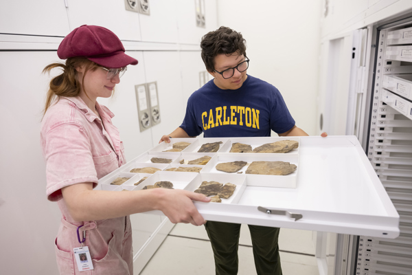 Interns viewing collections