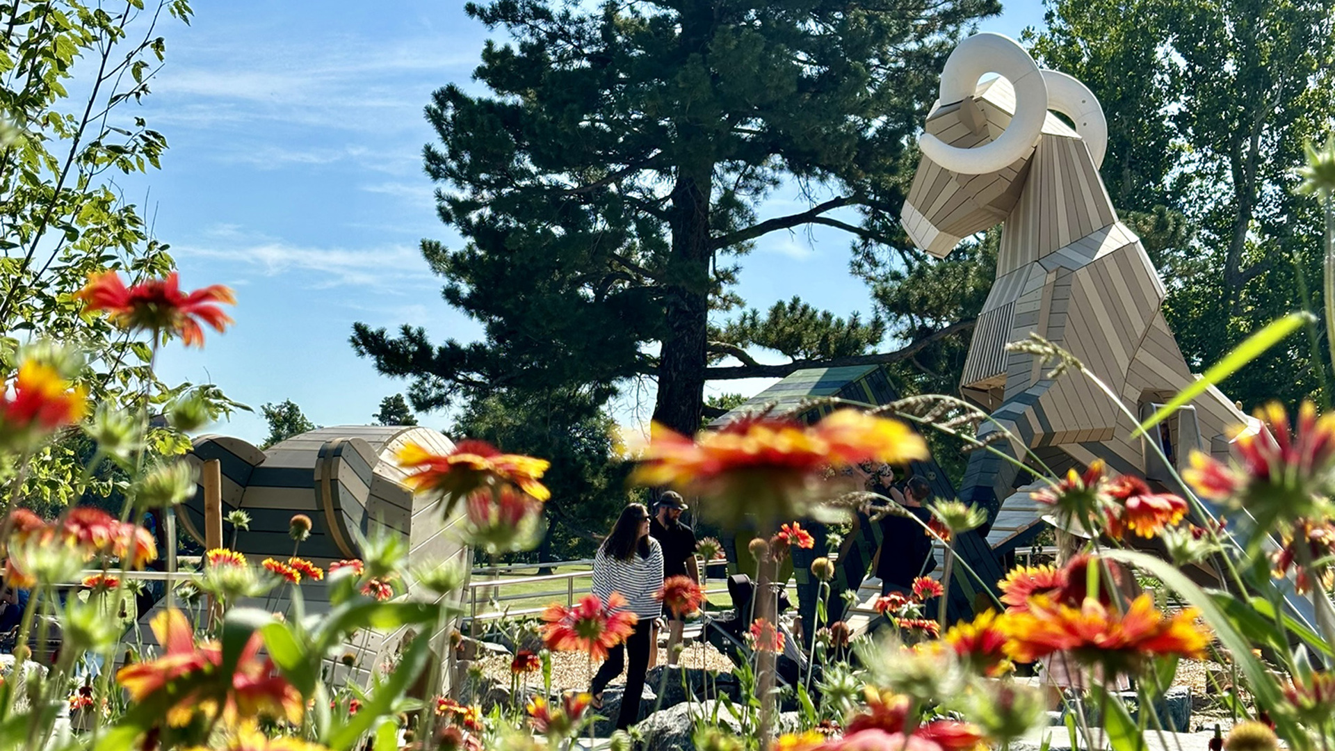 Nature Play Flowers 16X9