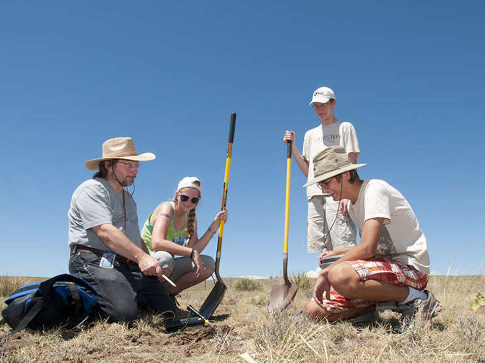 Four people in a brown grass field holding shovels on a sunny day