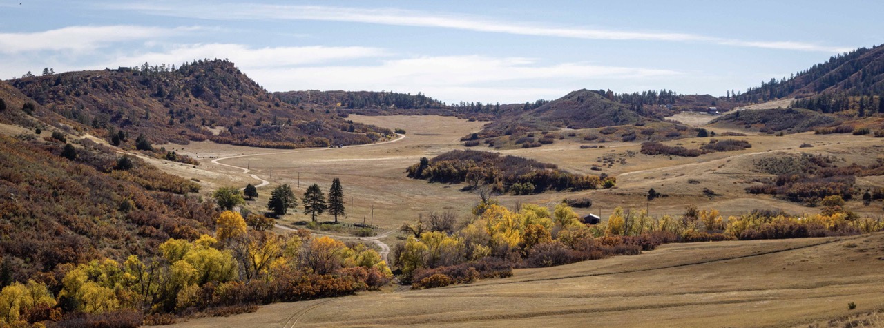 Karen Fiant X1A8997 Large