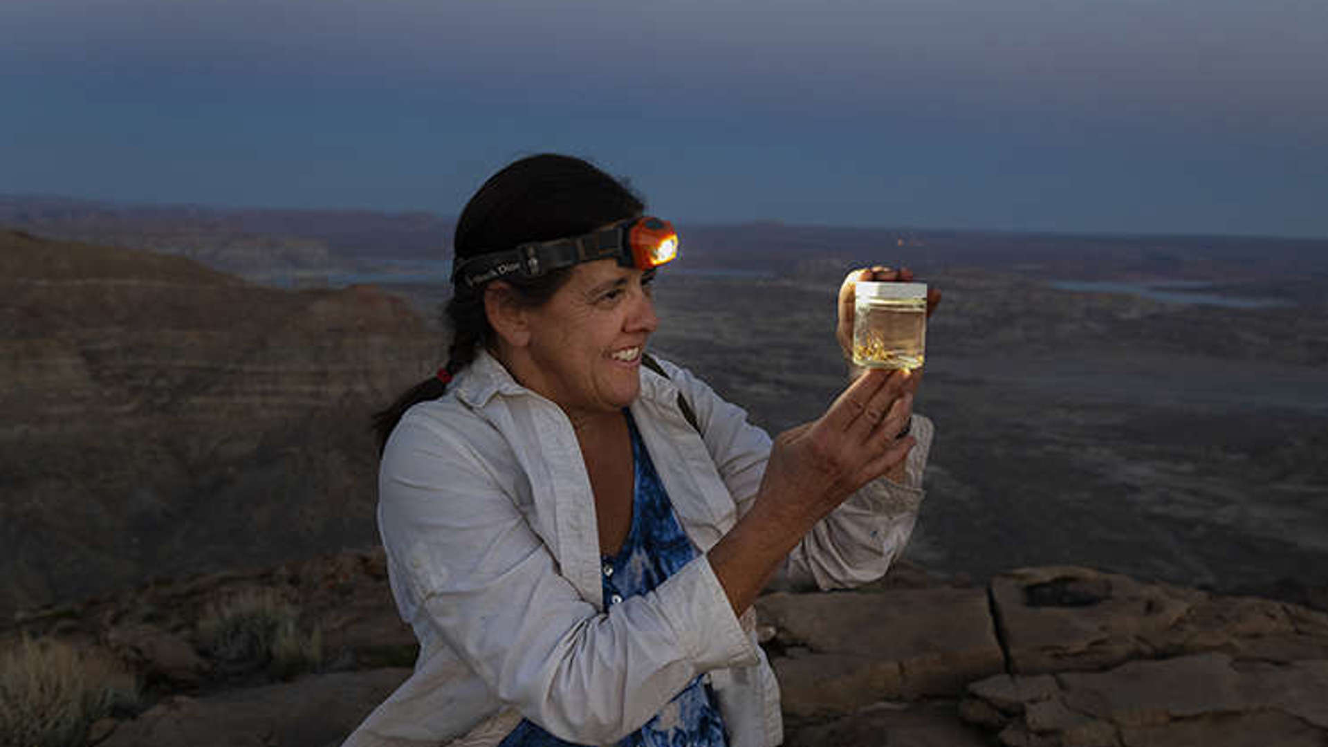 Siapaulafieldutah