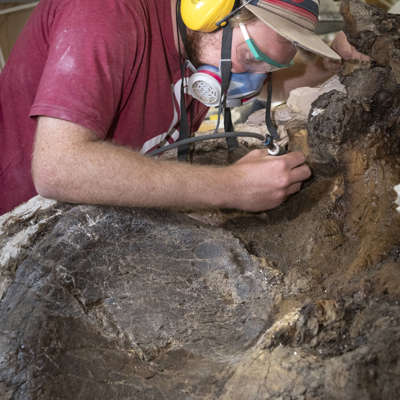 Intern Prepping Fossil