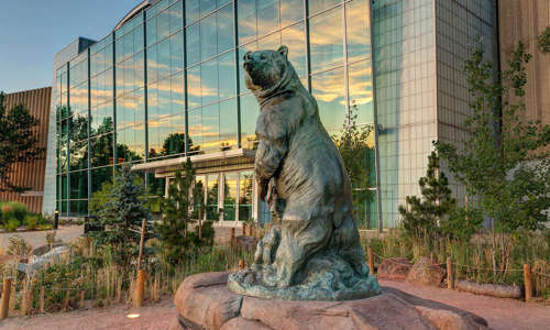 Museum West Atrium And Bronze Bear Sculpture