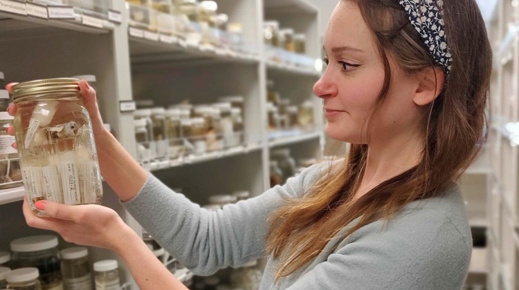 Dr. Bridget Chalifour studies a jar in the Museum's collection spaces.