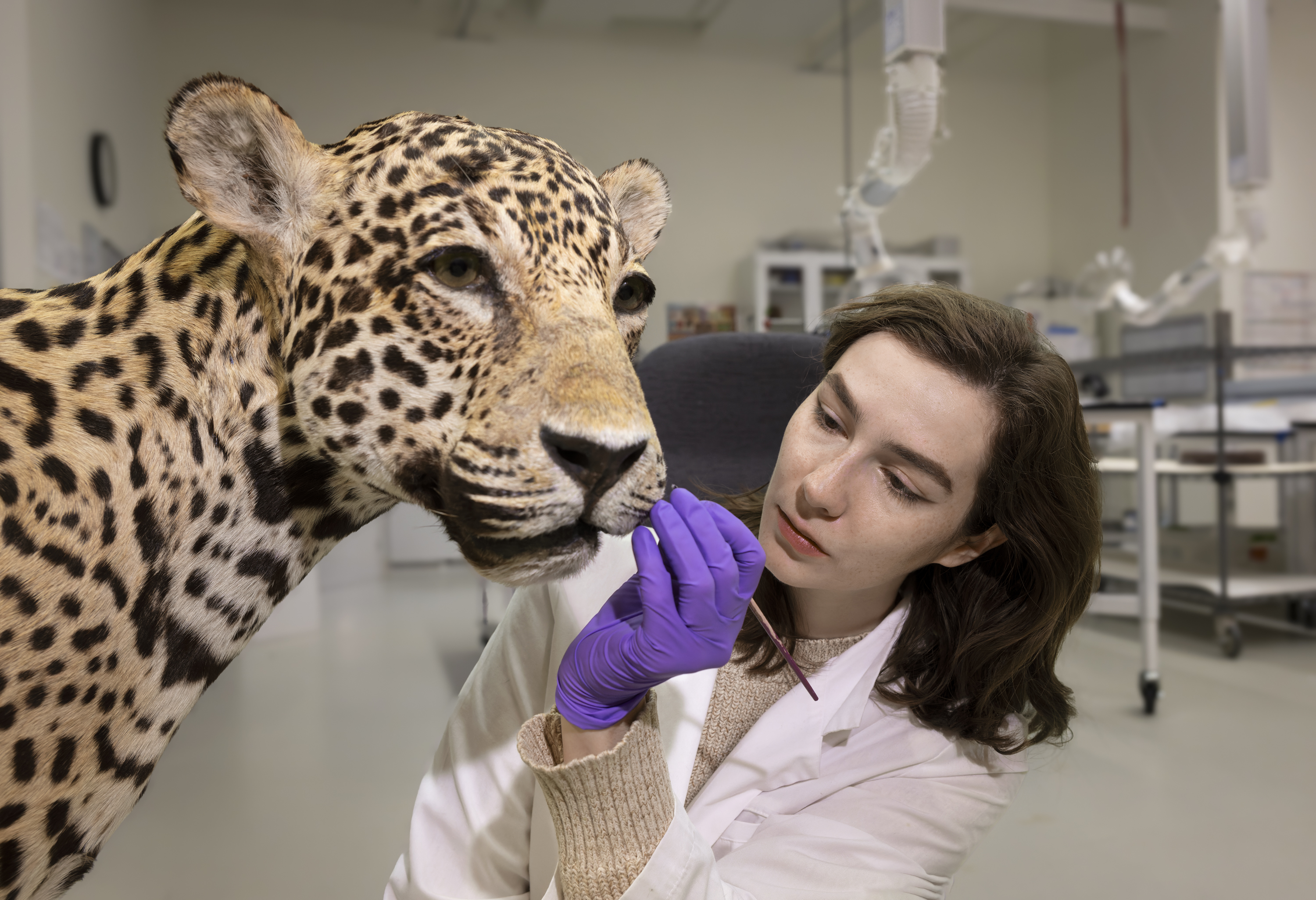 Staff working in Conservation Lab