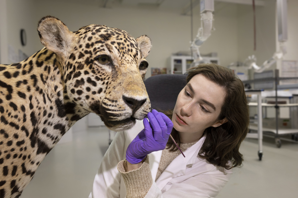 Staff working in Conservation Lab