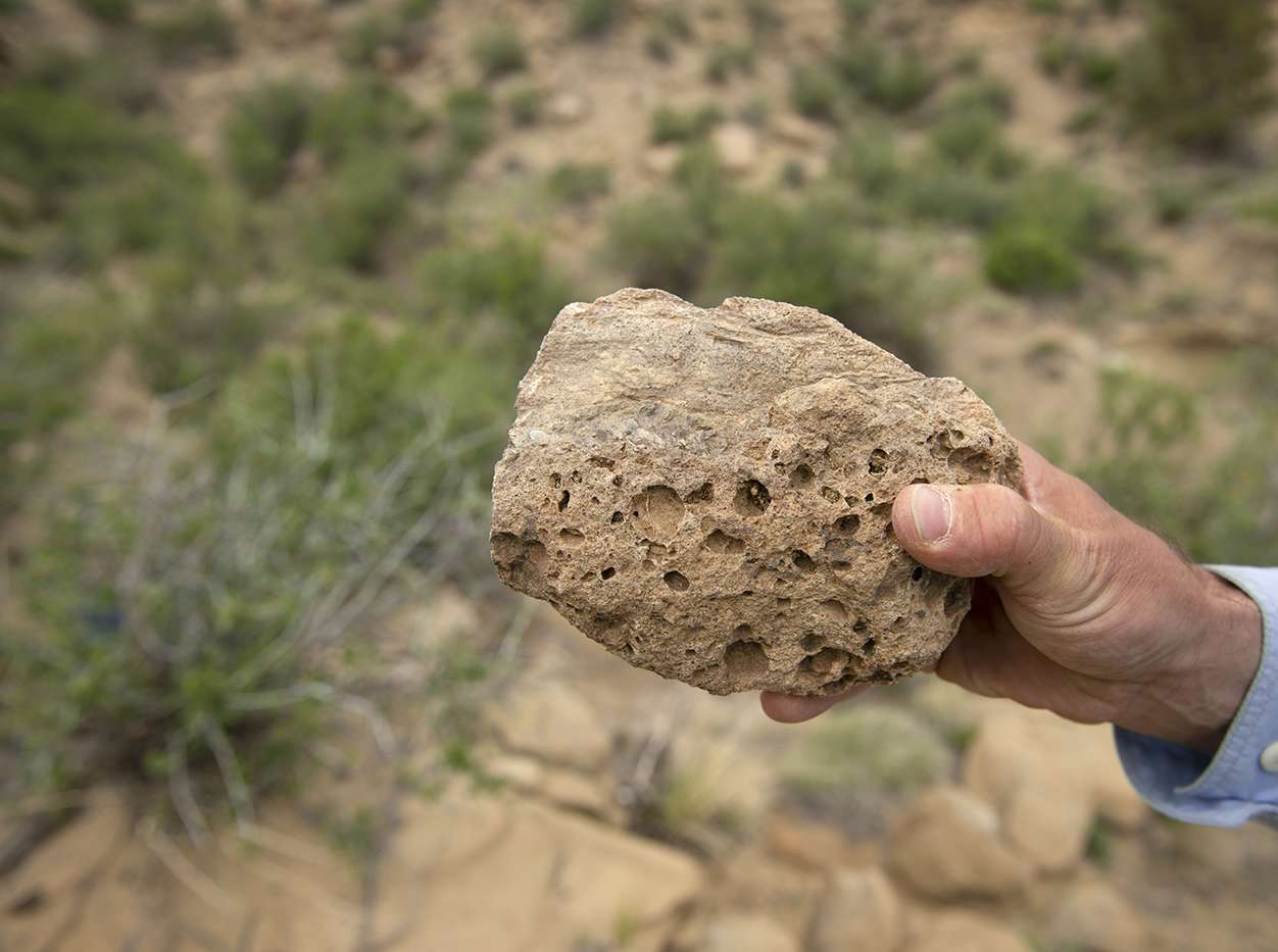 Man holding a concretion (rock) in the foreground, with grass and dirt behind him