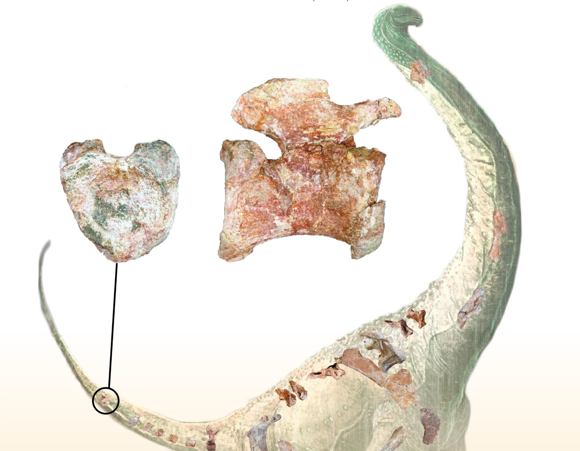 Mynamawamtukascheme (1)