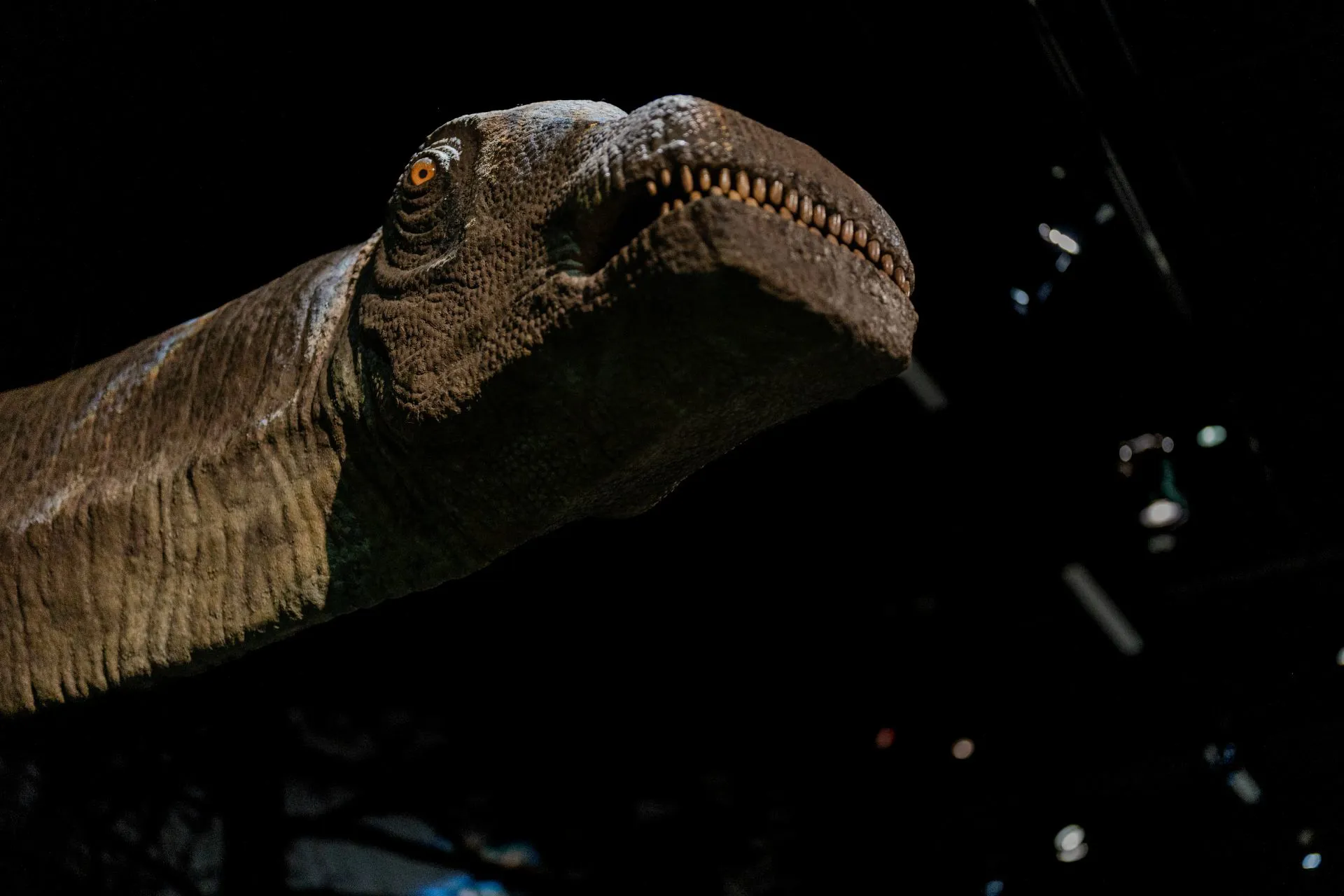 Exhibition Walkthrough