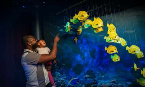 Guests looking at exhibit