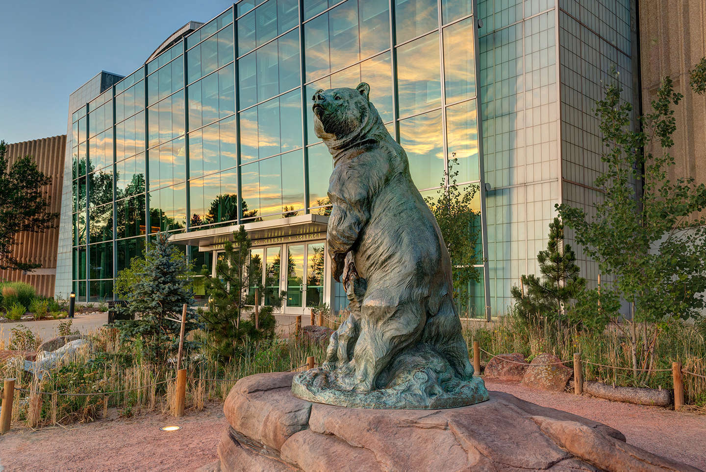 Bear Statue by West Atrium 