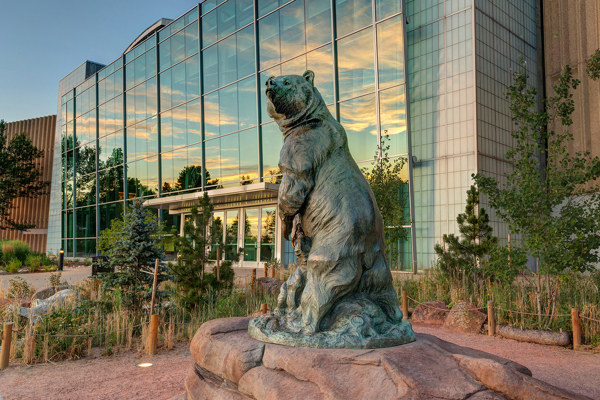 Bear Statue by West Atrium 