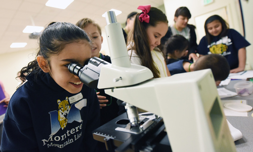 Children look into a microscope