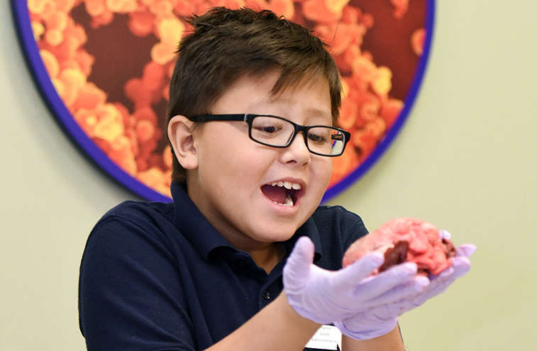 A childholding a sheep heart while smiling