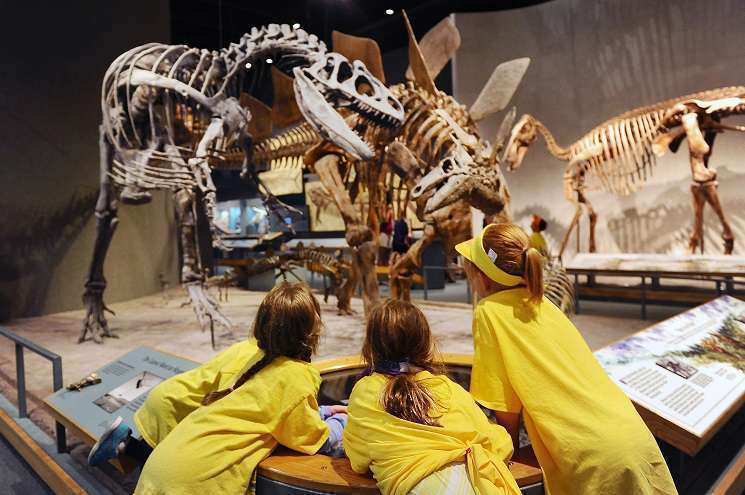 Three children observe dinosaur skeletons displayed in a museum, showcasing their fascination with prehistoric creatures.